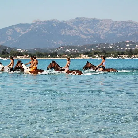 Version Villa Porto-Vecchio (Corsica)